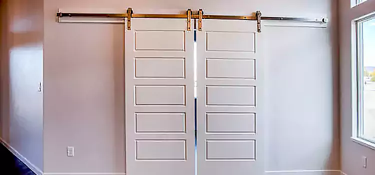 Glass Barn Door with Installation Hardware Kit Maple Heights