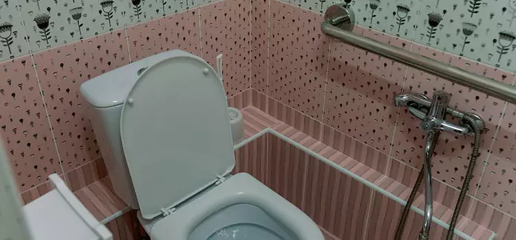 Meeting Diverse Needs With Accessible Restroom Solutions in Maple Heights, OH