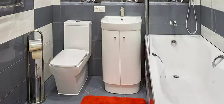 Hansgrohe Shaving Mirror Maple Heights
